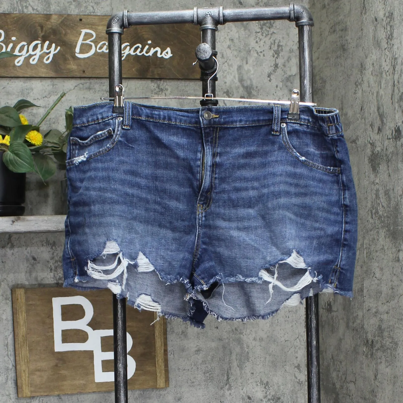 Aerie Womens Plus Size Elastic Waist Distressed Jean Shorts Blue 2XL