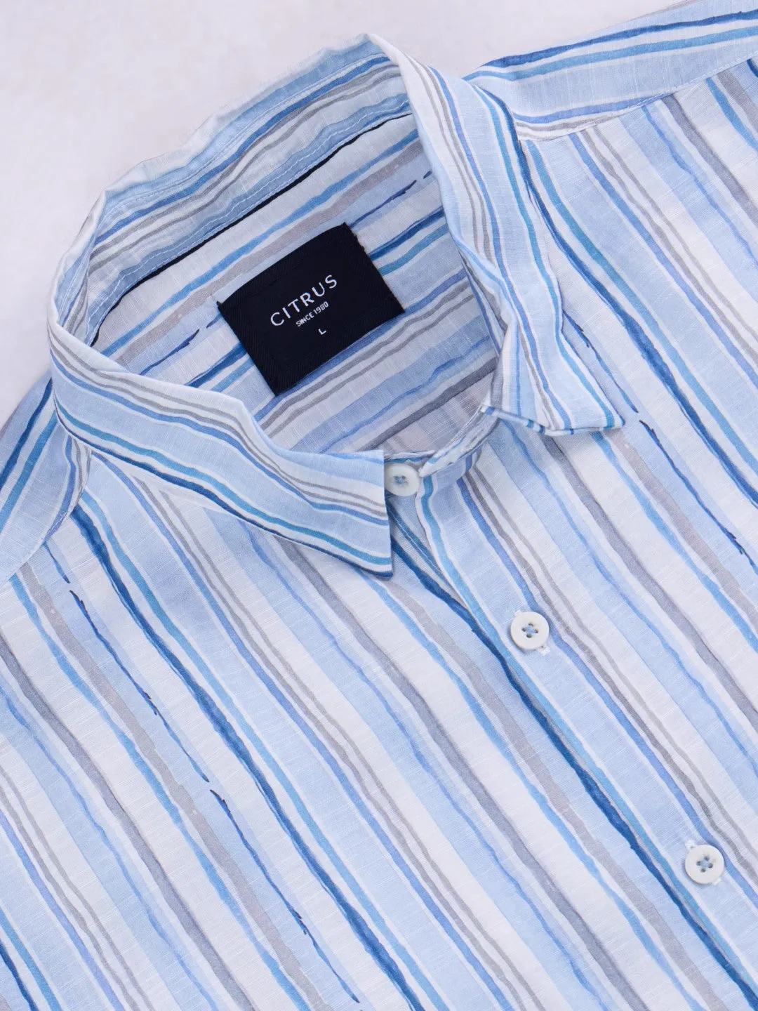 Blue Striped Slim Fit Shirt
