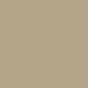 Columbia Men Beige Columbia Men Silver Ridge Utility Pant