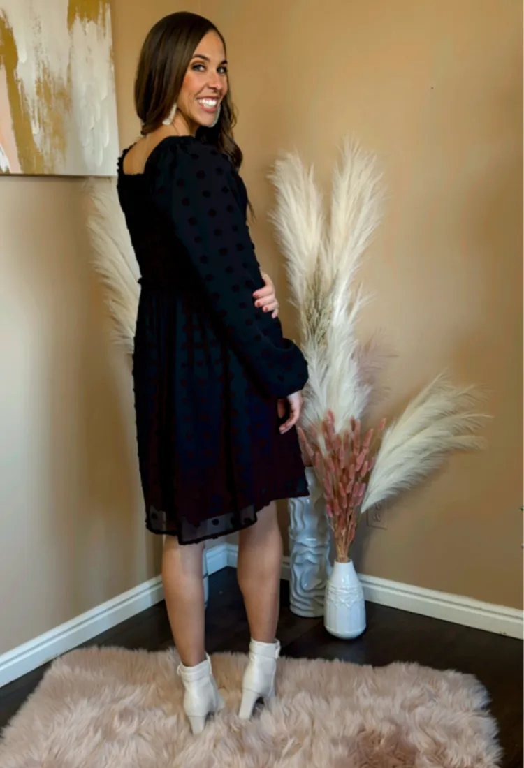 Danielle Swiss Dot Dress in Black