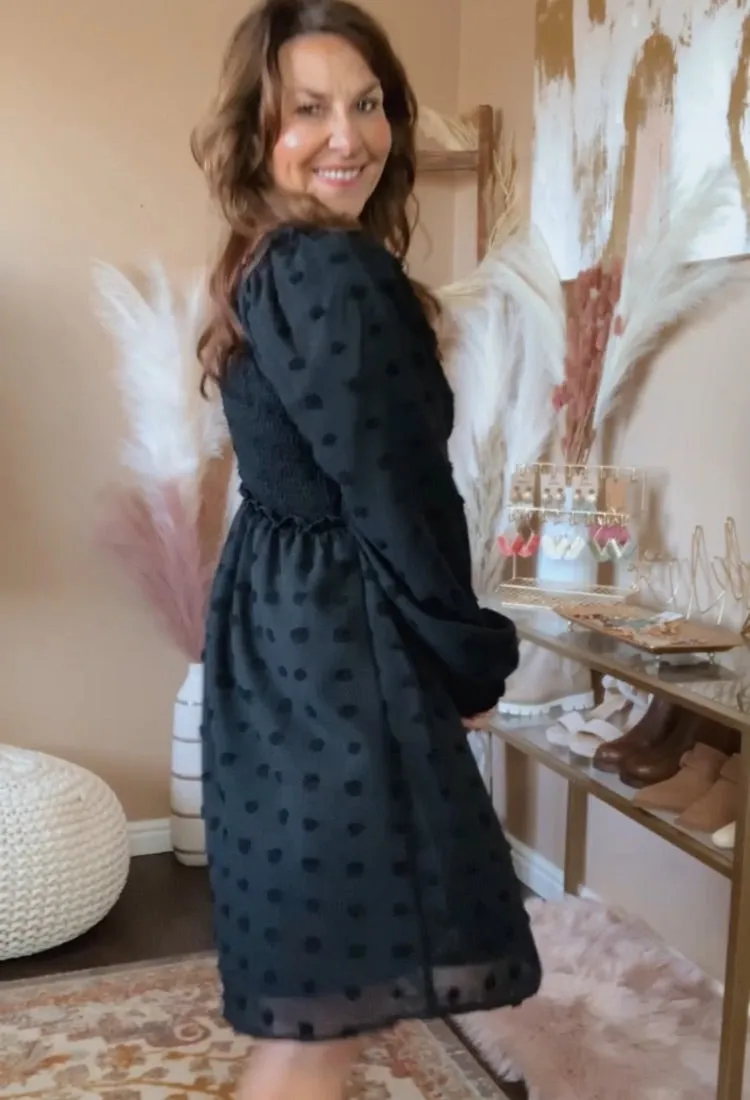 Danielle Swiss Dot Dress in Black