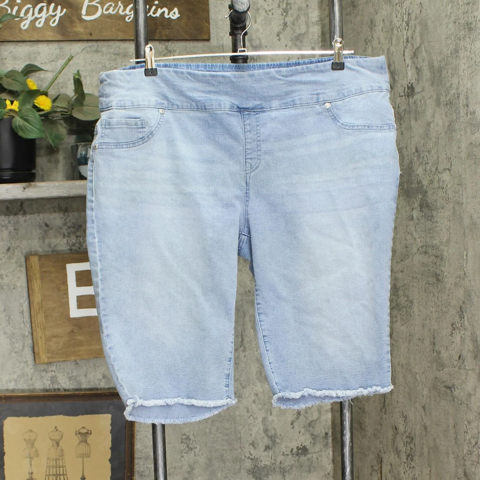 DG2 by Diane Gilman Womens Denim Frayed Denim Bermuda Shorts Light Blue 2X