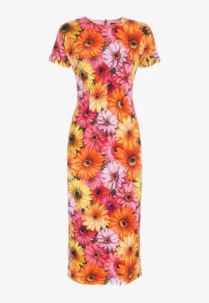 Gerberas Print Midi Dress