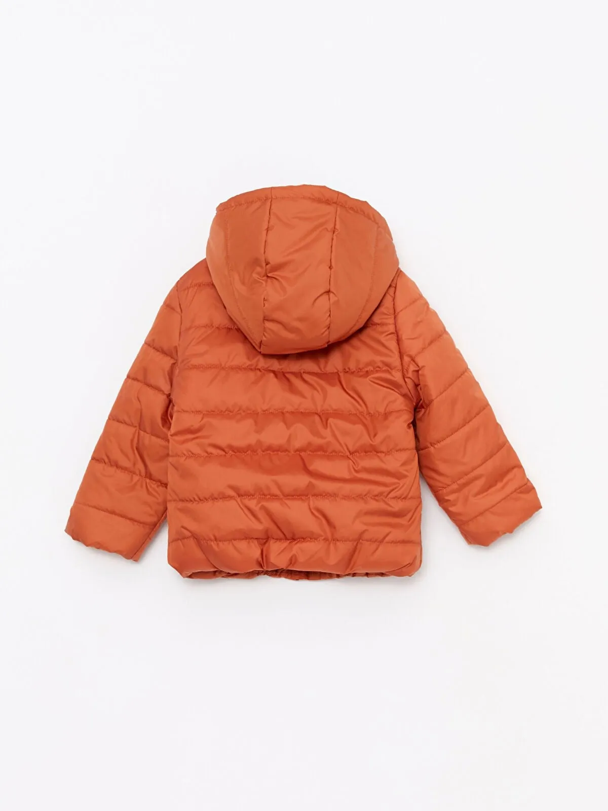 Hooded Long Sleeve Basic Baby Boy Coat
