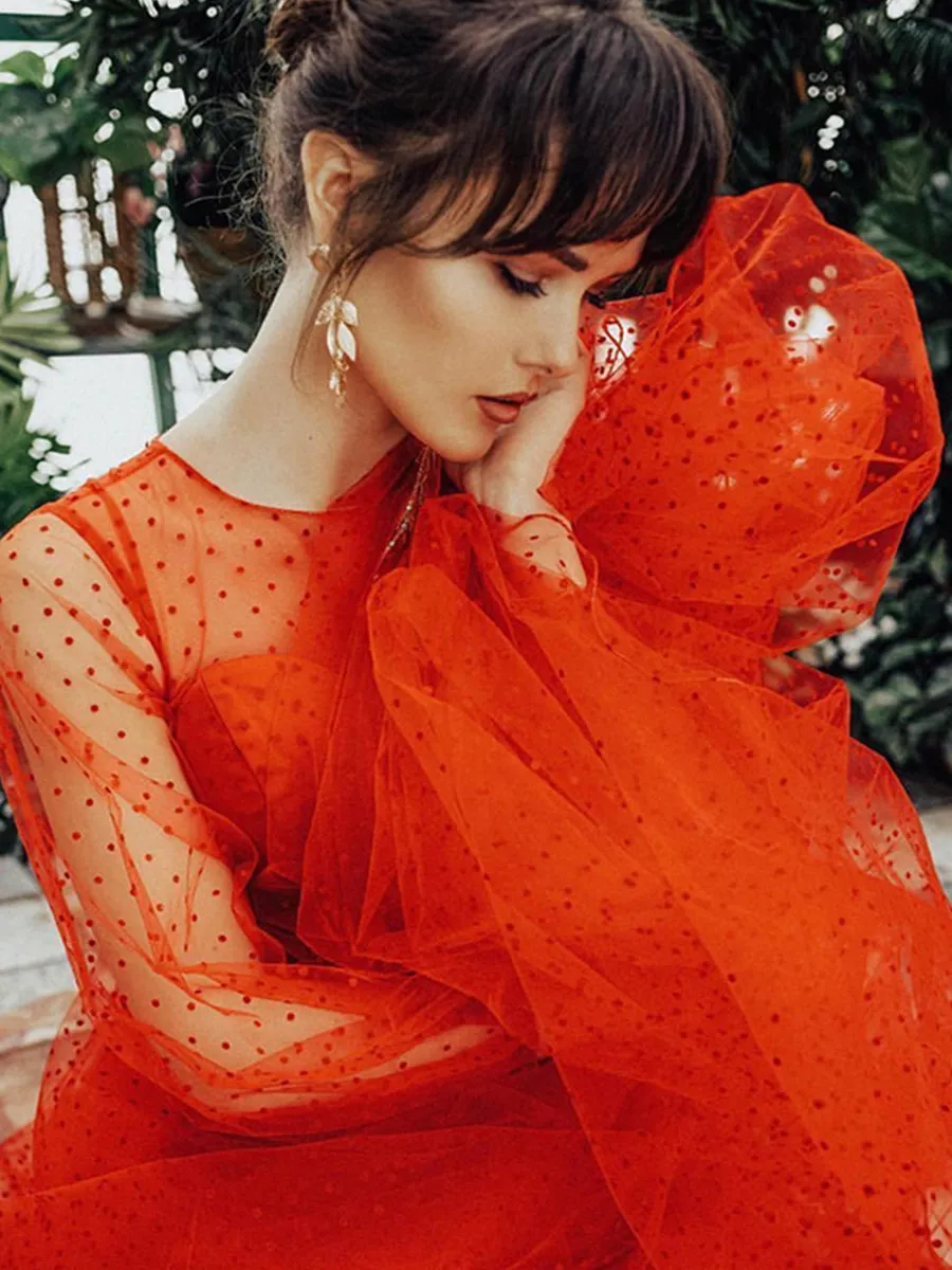 Long Sleeve Crew Neck Polka Dot Tulle Prom Party Dress for Photo Shoot