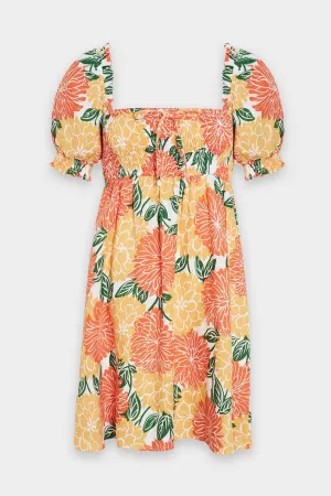 Miguelina Mini Dress in Mariposa Floral Print