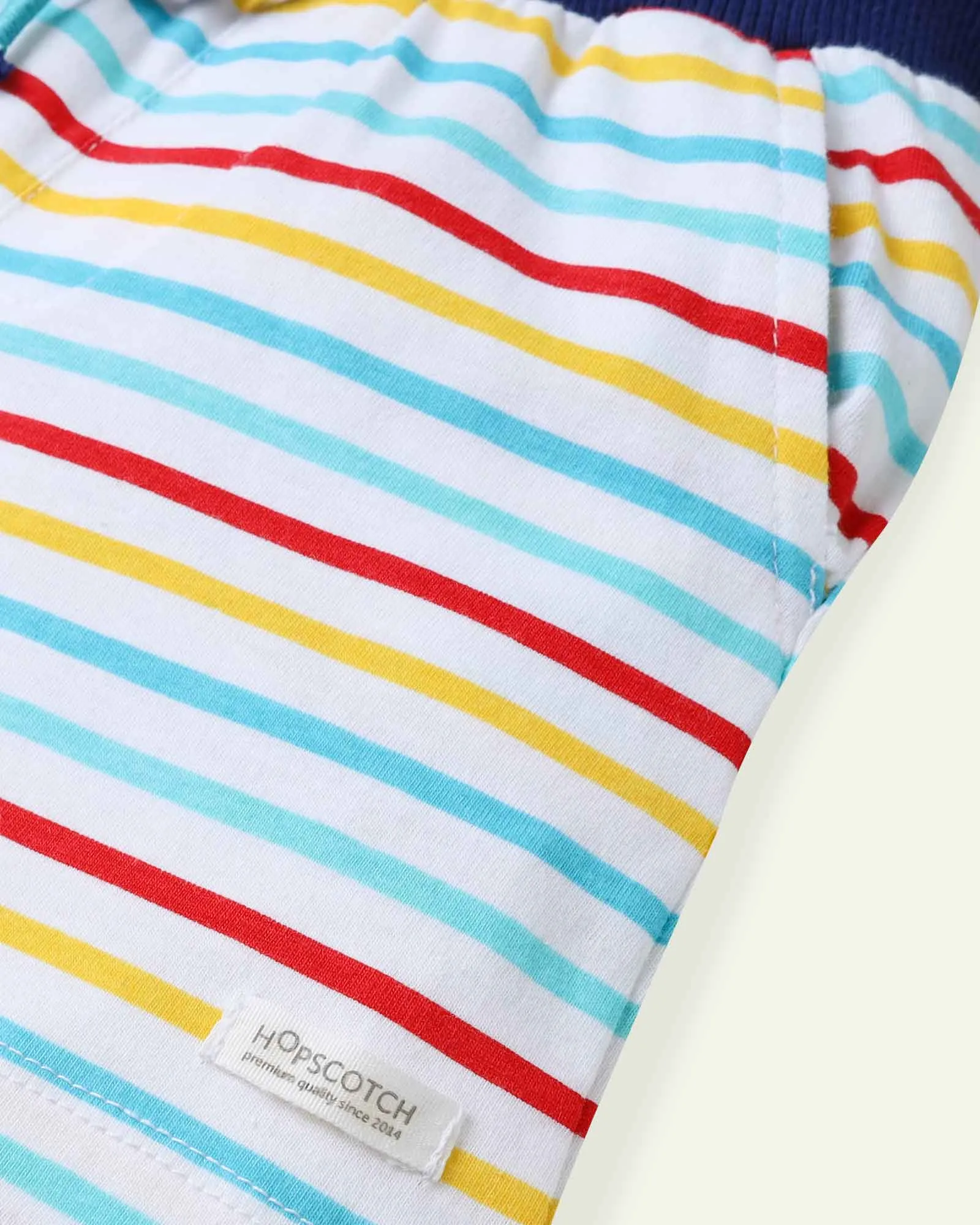 Multi Striped Shorts