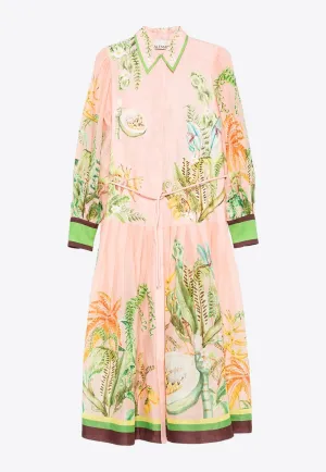 Papaya Printed Midi Shirt Dress