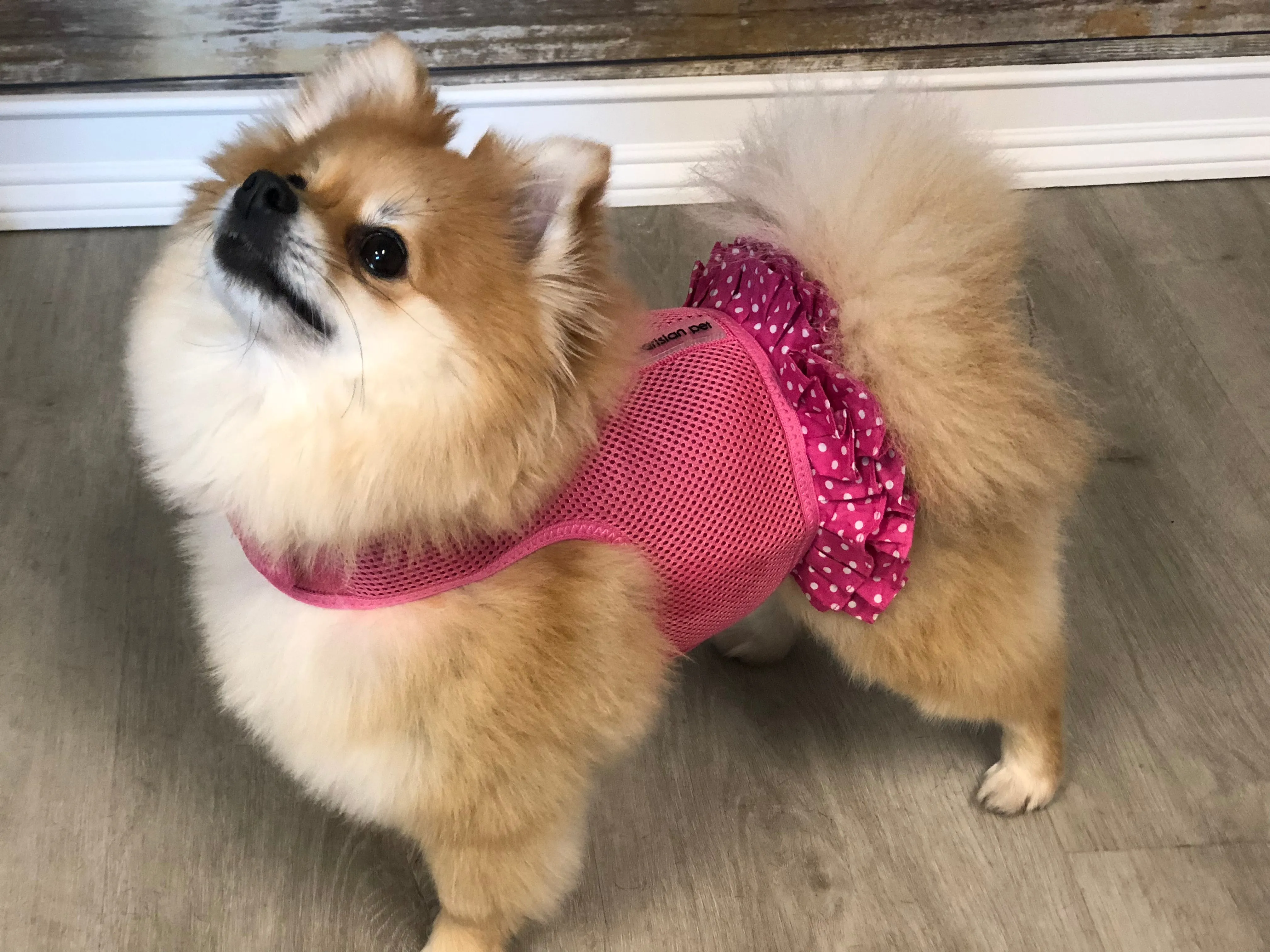 Polka Dot Harness Dress, Pink