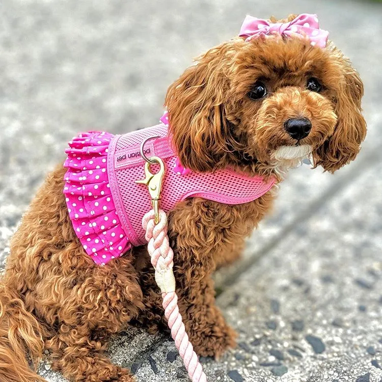 Polka Dot Harness Dress, Pink