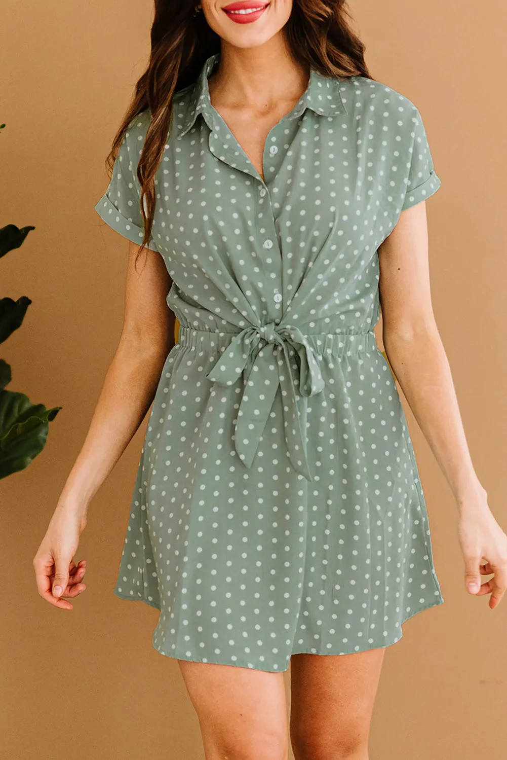 Polka Dot Shirt Collar Short Sleeve Mini Dress