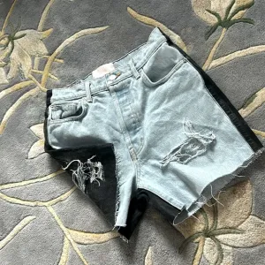 Revice Denim Two Toned Shorts