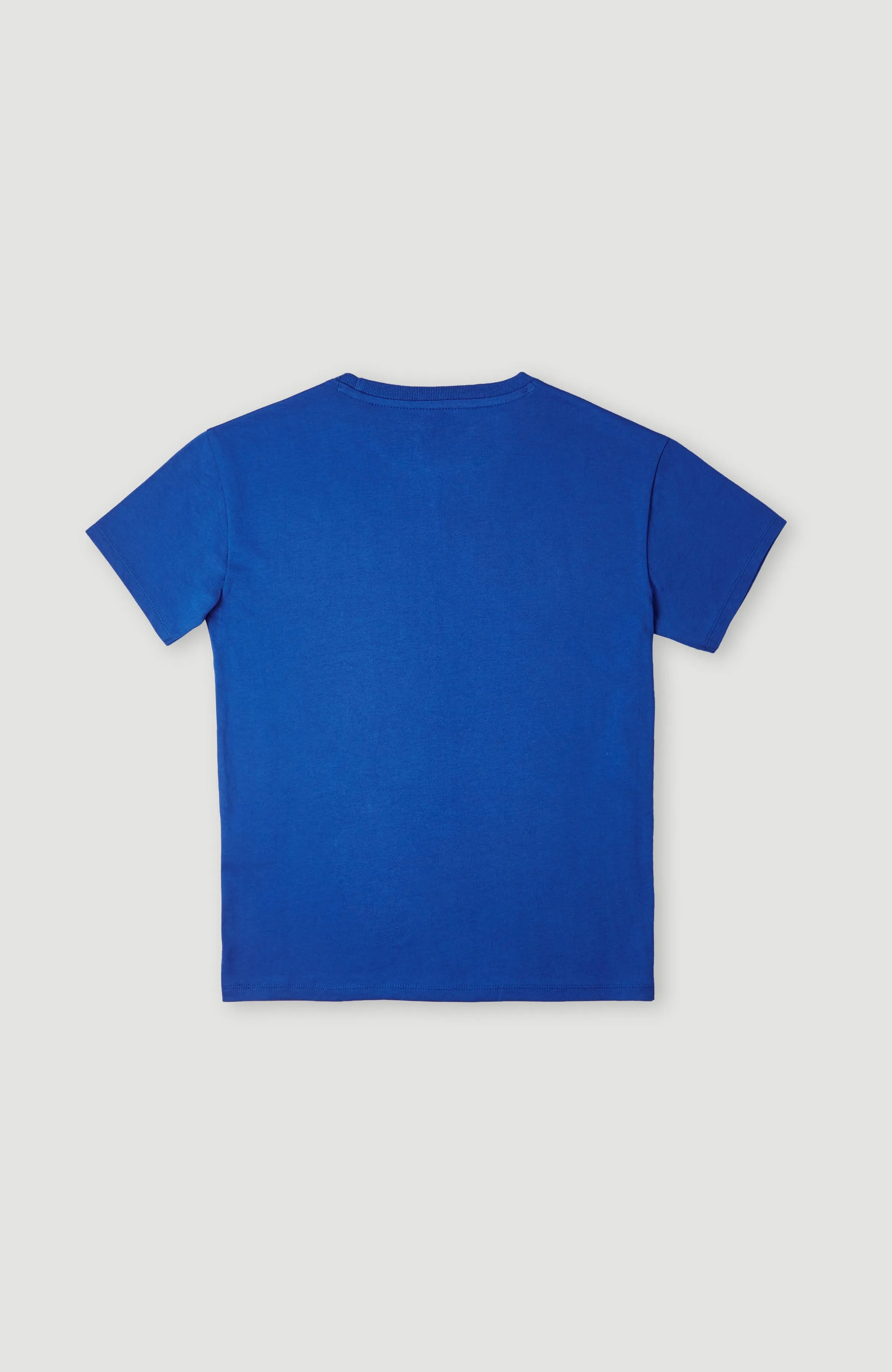 Sanborn T-Shirt | Princess Blue