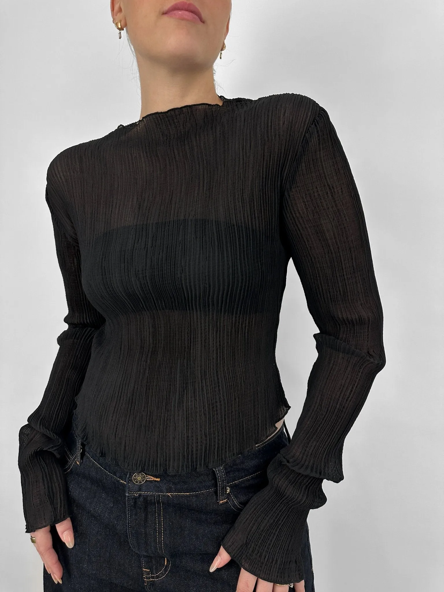 Sheer Plissé Long Sleeve Top