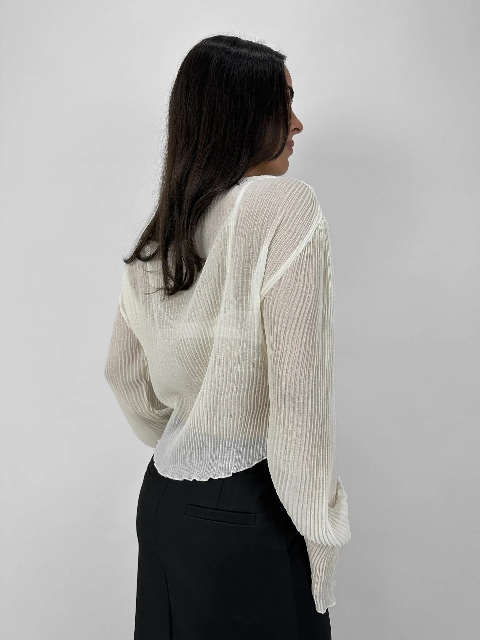 Sheer Plissé Long Sleeve Top