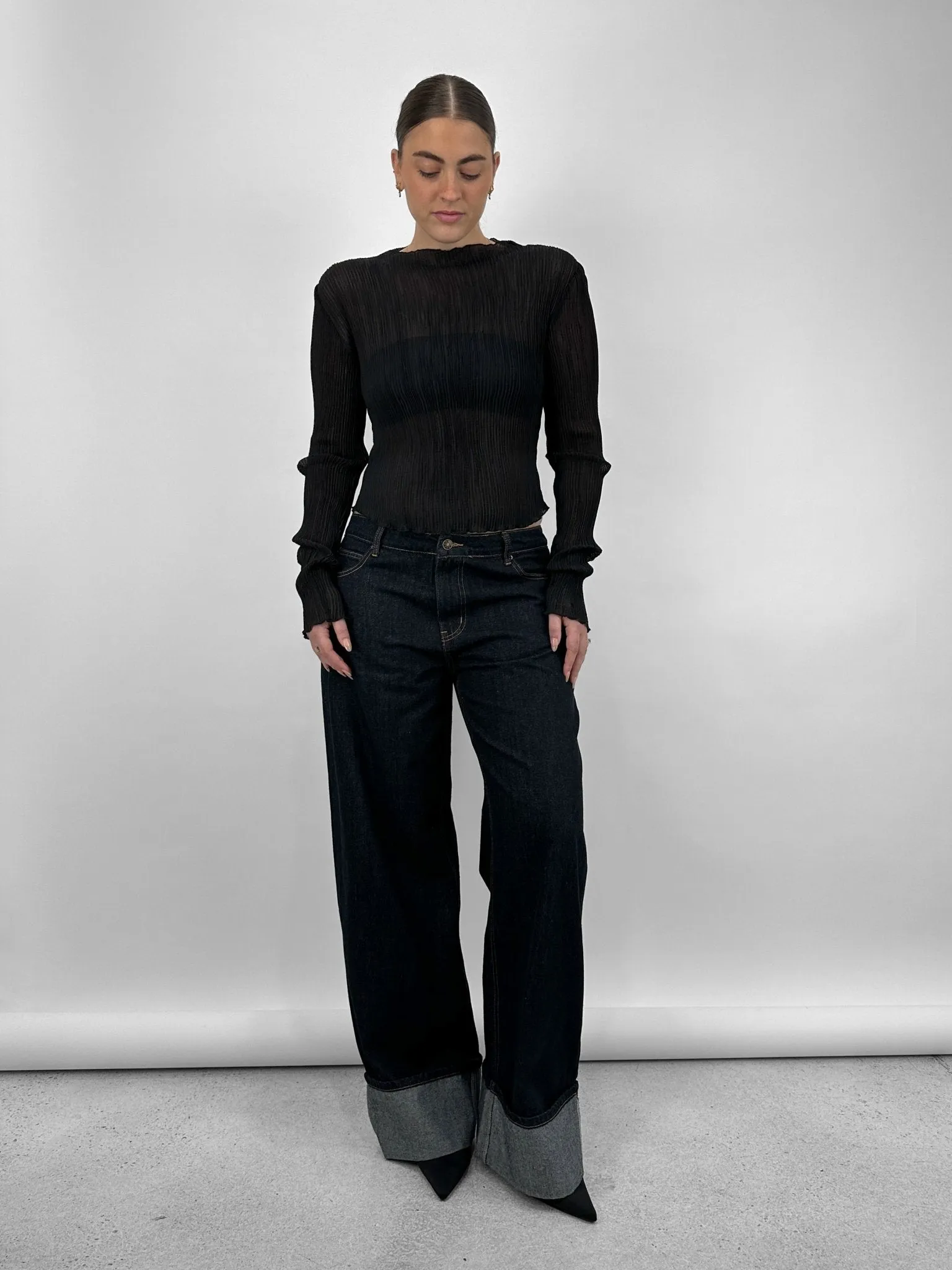 Sheer Plissé Long Sleeve Top