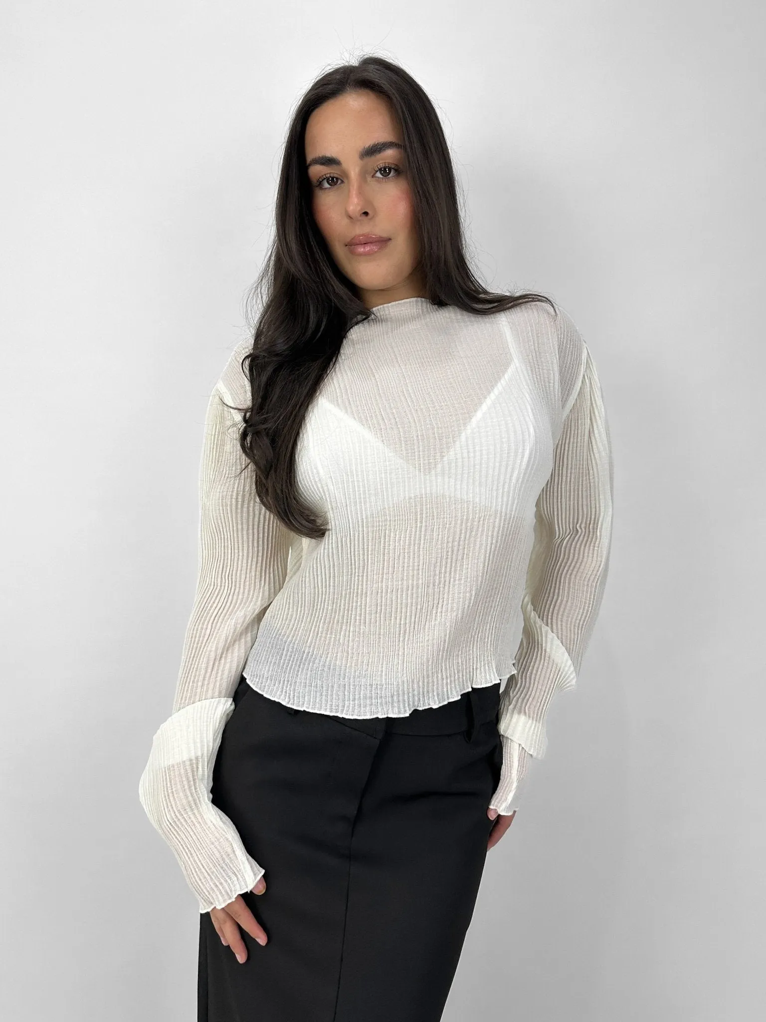 Sheer Plissé Long Sleeve Top