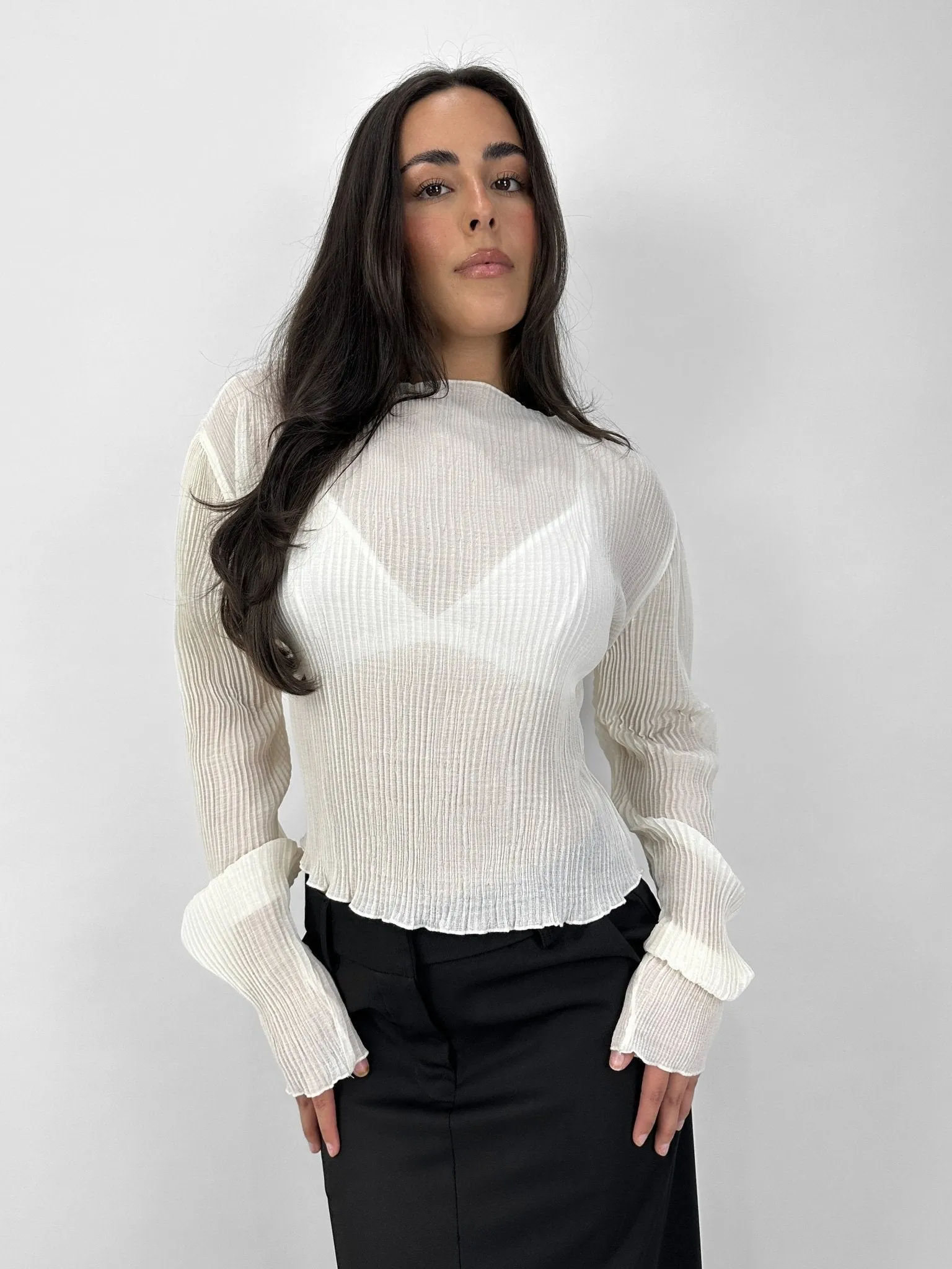 Sheer Plissé Long Sleeve Top