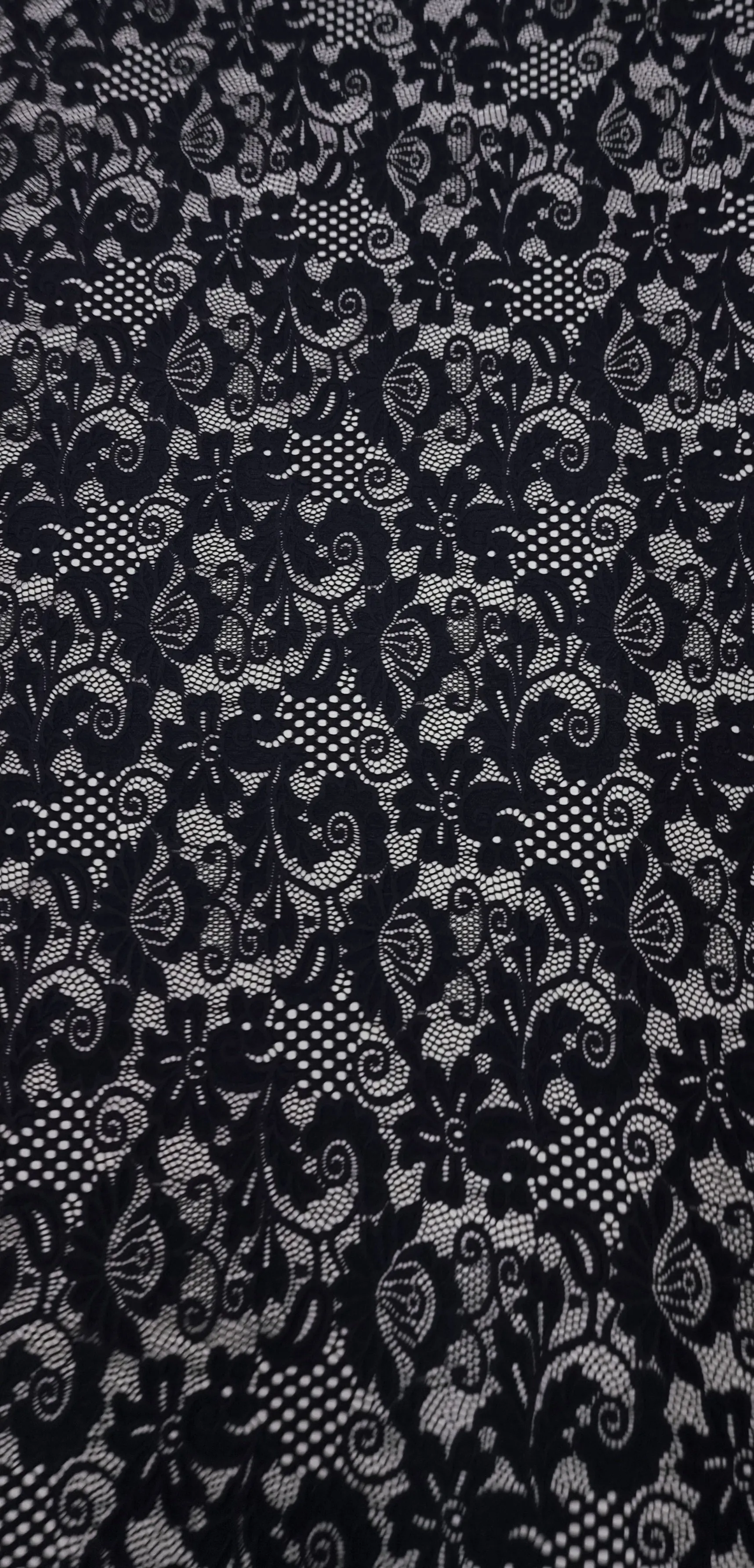 Stretch Lace Fanciful Black