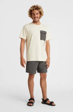 Utility 17'' Hybrid Shorts | Raven