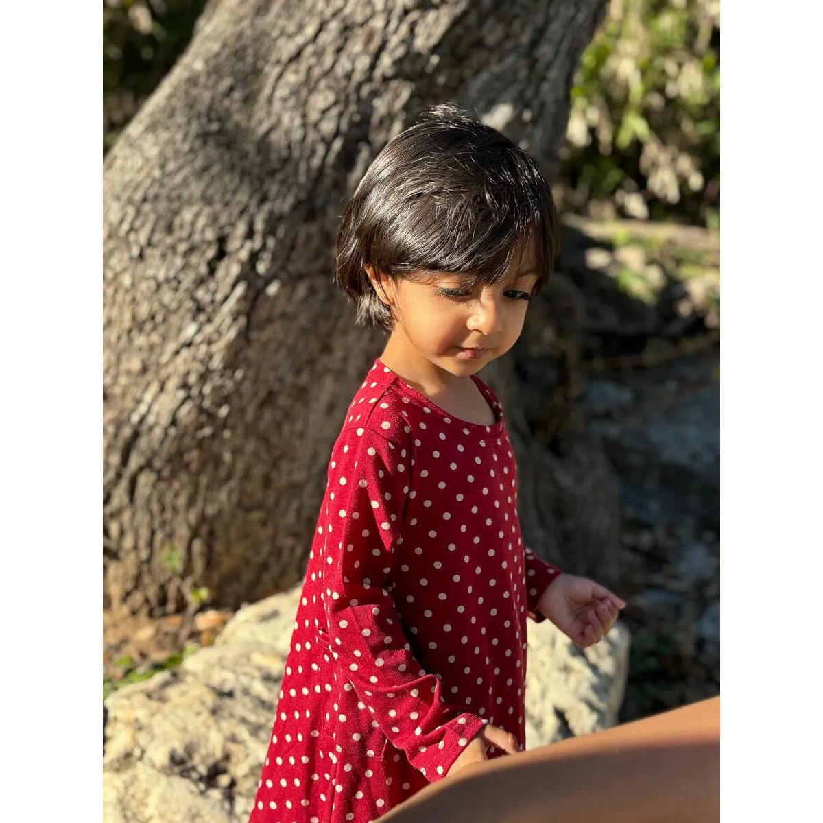 Vignette Burgundy Polka Dot Leena Dress